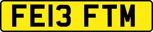 FE13FTM