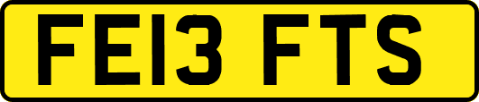 FE13FTS
