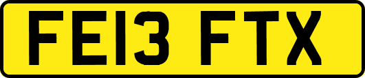 FE13FTX
