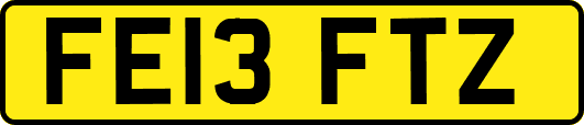 FE13FTZ