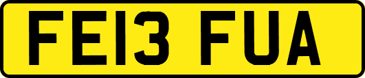 FE13FUA