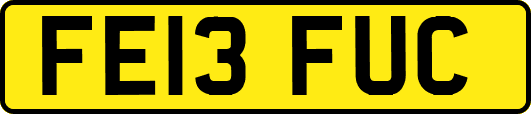 FE13FUC
