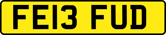 FE13FUD
