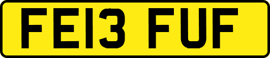 FE13FUF