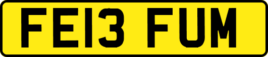 FE13FUM