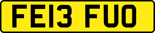 FE13FUO