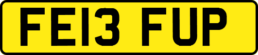 FE13FUP