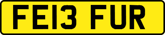 FE13FUR