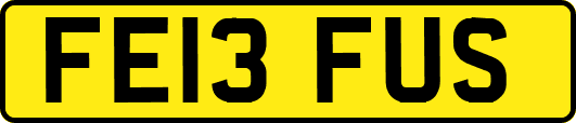 FE13FUS