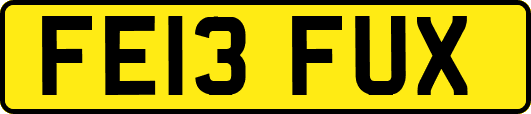 FE13FUX
