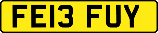 FE13FUY