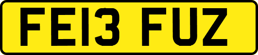 FE13FUZ