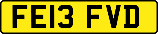 FE13FVD
