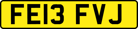 FE13FVJ