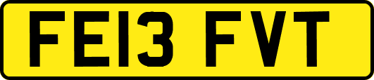 FE13FVT