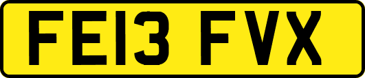 FE13FVX