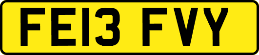 FE13FVY