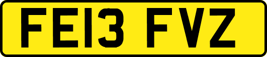 FE13FVZ