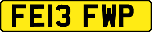 FE13FWP