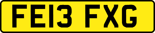 FE13FXG