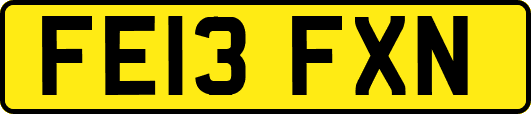 FE13FXN