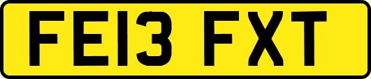 FE13FXT