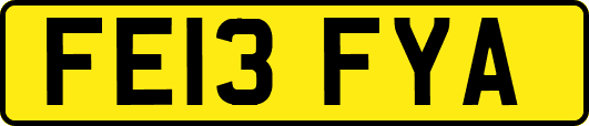 FE13FYA
