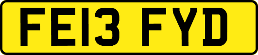 FE13FYD