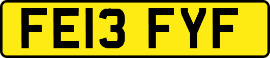 FE13FYF
