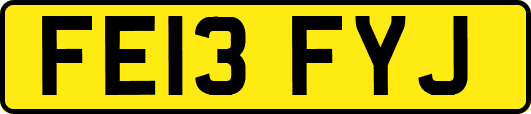 FE13FYJ