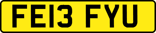 FE13FYU