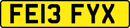FE13FYX