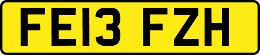 FE13FZH