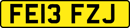 FE13FZJ