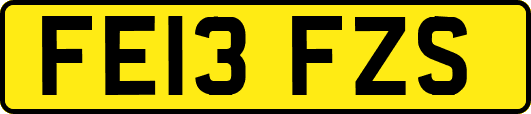 FE13FZS