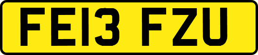 FE13FZU