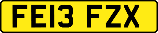 FE13FZX
