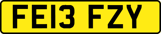 FE13FZY