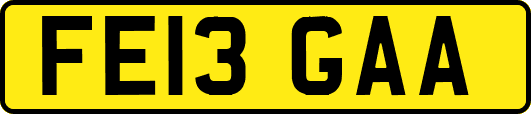 FE13GAA