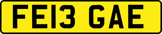 FE13GAE