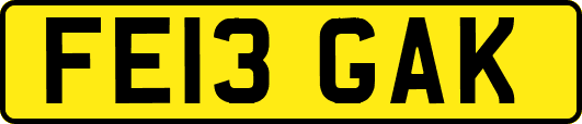 FE13GAK