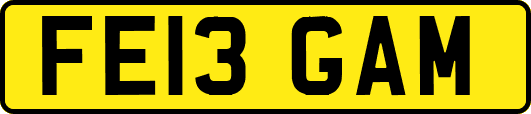 FE13GAM