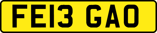 FE13GAO
