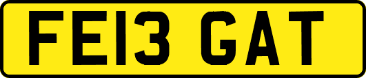 FE13GAT