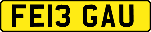 FE13GAU
