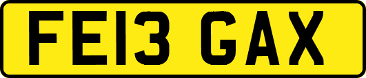 FE13GAX