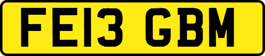 FE13GBM