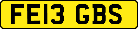 FE13GBS