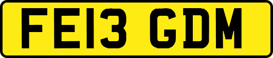 FE13GDM