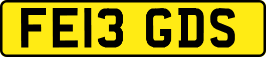 FE13GDS